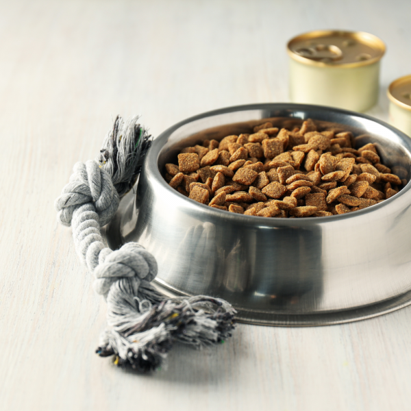 dog food for orlando vacation rental