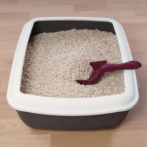 litter box for orlando vacation rental