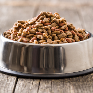 dog food for airbnb orlando