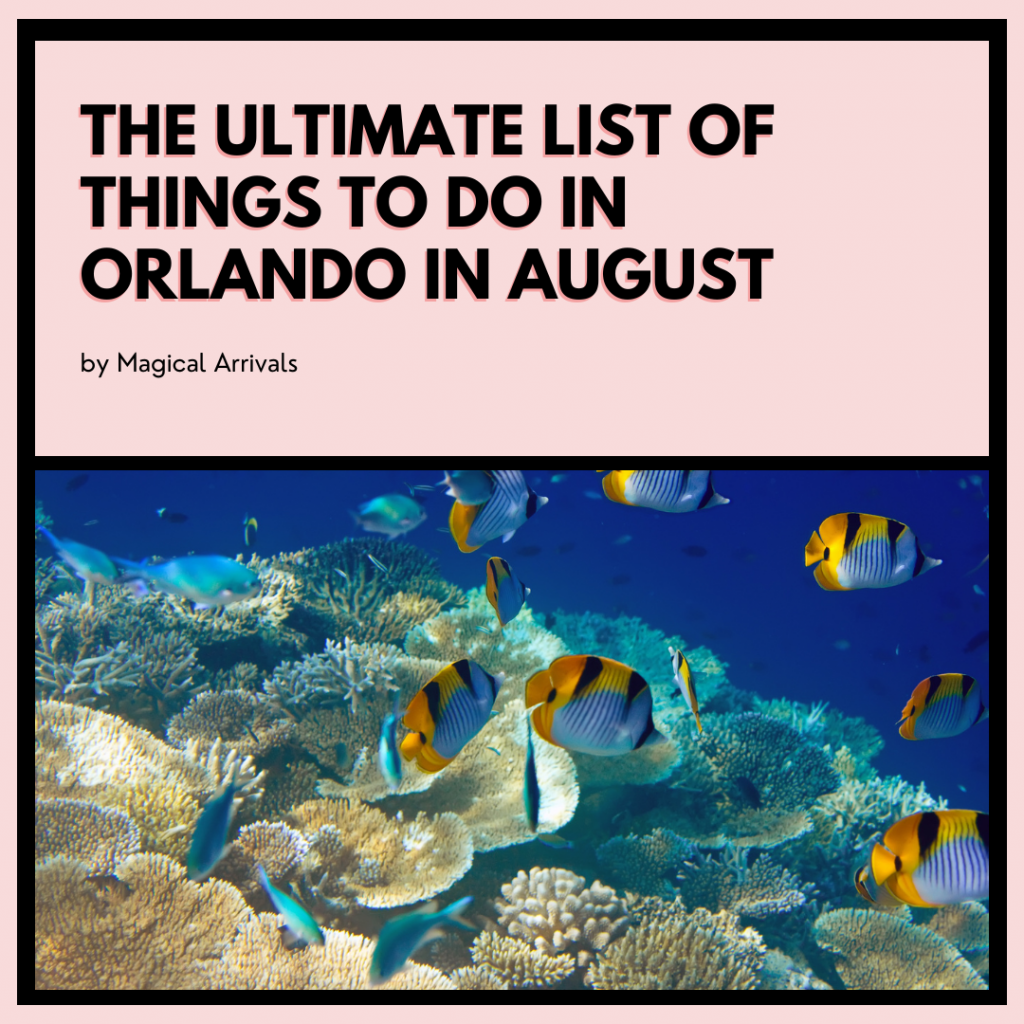 Things to Do In Orlando in August Blog Post