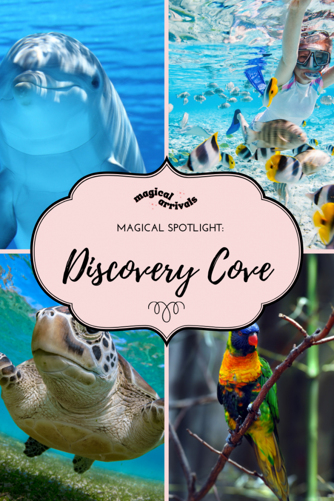 Discovery Cove