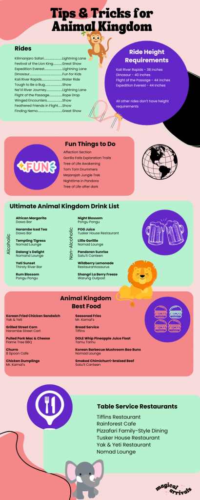 Animal Kingdom tips and trips infographic